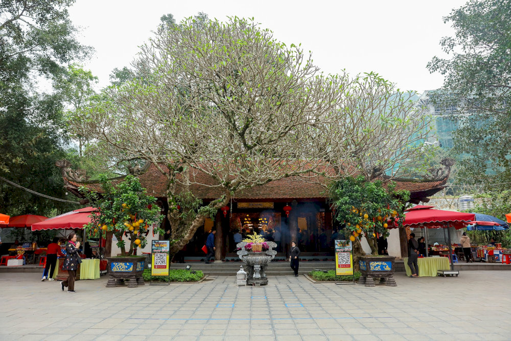 Tận hưởng không gian thanh tịnh